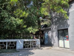 -红花湖景区