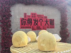 -爱新觉罗皇家博物院