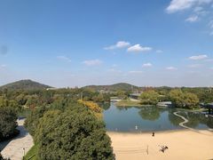 -上海佘山世茂艾美酒店