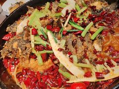 -老板恋上鱼(印象城店)