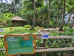 -三亚蜈支洲岛旅游区