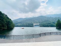 -江西阳明山国家森林公园