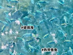 -三亚西岛海洋文化旅游区