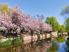 -元大都城垣遗址公园