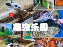 -顺德南宏海立方海洋公园