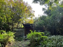 -深圳国际园林花卉博览园