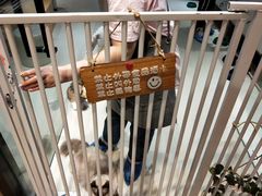 -藏猫猫咖啡主题馆(中央大道店)