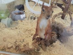 -怪兽屋·羊驼·猫咖·狗咖(俊华广场店)