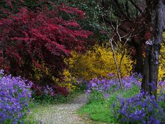 -上海滨江森林公园