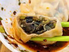 茄子皮馅饺子-宝源饺子(麦子店街店)