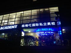 -杨梅红艺术教育(深圳南山书城教学中心)