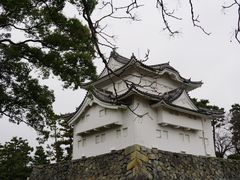 -名古屋城