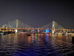 -新龙船黄浦江餐饮游船官方自营店