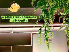 -大象园ELEPHANT GROUNDS(万象天地店)