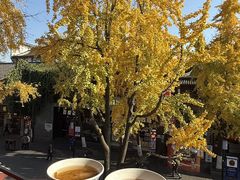 -奇芳阁·百年清真南京菜(夫子庙店)