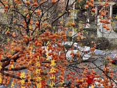 -田园印象·成都土菜院子(华阳店)