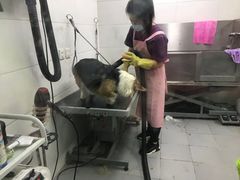 -达爱动物医院·犬猫分区·CT·复杂眼科(远洋山水分院)