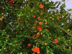 -湖南省立第一师范学校旧址