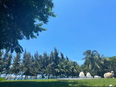 -海南清水湾莱佛士酒店