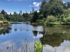 -墨尔本皇家植物园