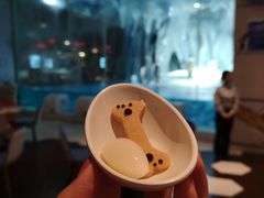 -帝企鹅自助餐厅•儿童岛•真企鹅(长隆企鹅酒店)