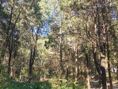 -北京西山国家森林公园