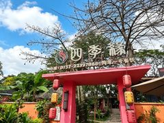 -陶缘一号·四季缘·老字号顺德菜·户外婚礼家宴(西滘店)