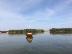 -乌梁素海景区
