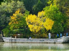 -北京大学赛克勒考古与艺术博物馆
