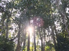 -莲花山公园