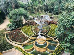 -南山植物园
