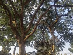 -绍兴鲁迅故里·沈园景区