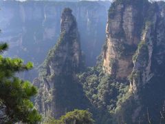 -印象鲵宴·张家界地标美食名片(溪布街店)