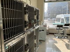 -北京观赏动物医院·24小时大型综合·猫专科·异宠专科