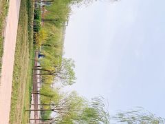 -天津金海湖