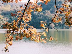 -广州市白云山风景名胜区