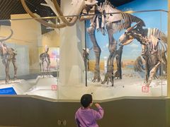 -国家自然博物馆