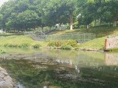 -两河城市森林公园