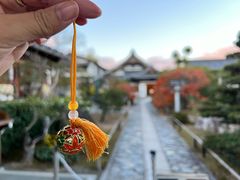 -西芳寺(苔寺)