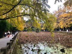 -四川大学(华西校区)