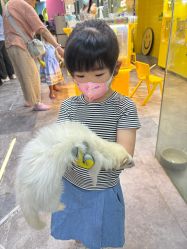 -神奇动物撸宠馆·羊驼·小浣熊·异宠(豫园店)