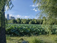 -长春市南湖公园