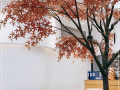 -艾薯夫妇Aysh(福田星河COCOPark店)