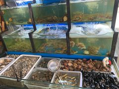 水产区-老东镇啤酒屋海鲜加工·蒸汽海鲜·海鲜烧烤(台东店)