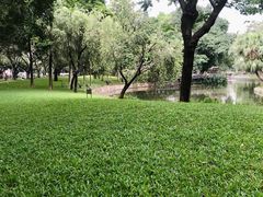 -晓港公园