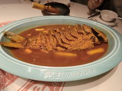 -阿五黄河大鲤鱼(英协路店)