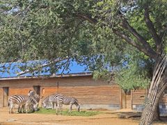 -石家庄市动物园