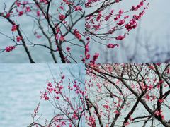 -天鹅湖体育公园