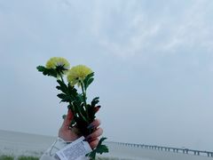 -南汇新城海滩