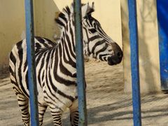 -石家庄市动物园